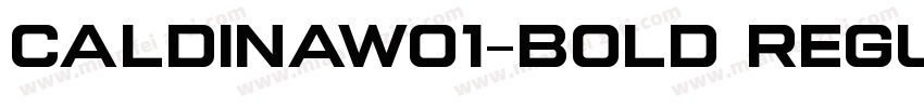 CaldinaW01-Bold Regu字体转换